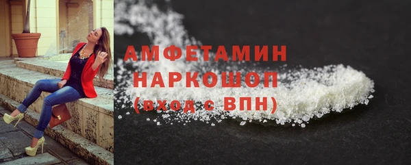 ECSTASY Богданович