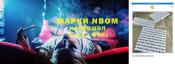 ECSTASY Богданович