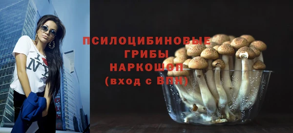 индика Богородицк