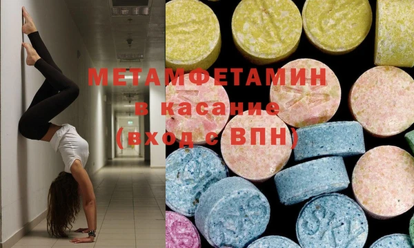 индика Богородицк