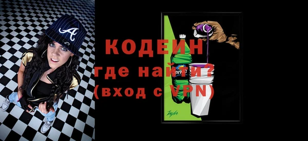 индика Богородицк