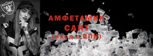 индика Богородицк