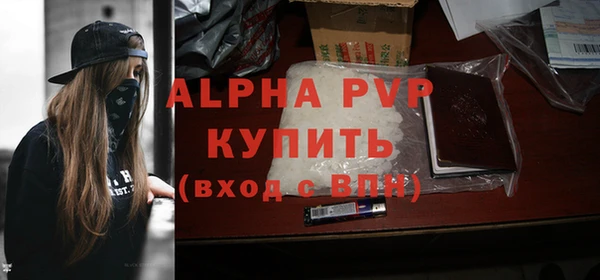 ECSTASY Богданович