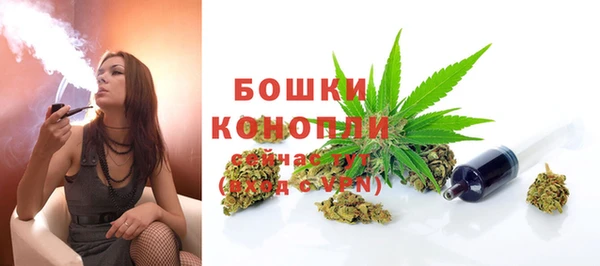ECSTASY Богданович