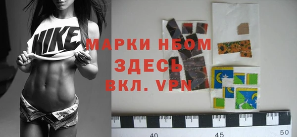 ECSTASY Богданович