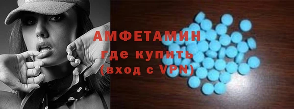 индика Богородицк