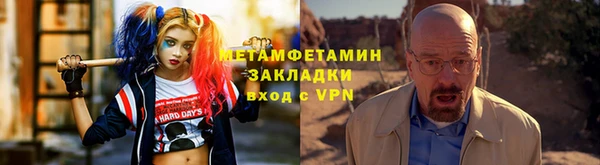 индика Богородицк