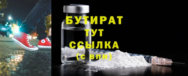 индика Богородицк