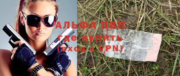 индика Богородицк