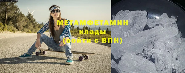 индика Богородицк