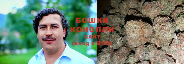 ECSTASY Богданович
