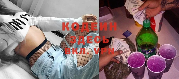 ECSTASY Богданович