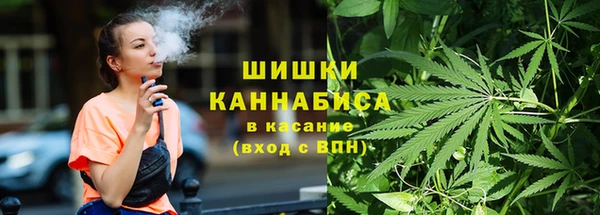 ECSTASY Богданович