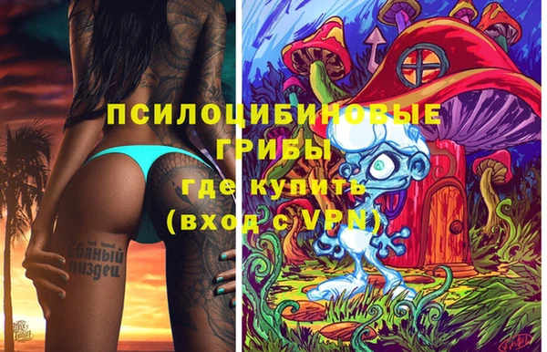 индика Богородицк