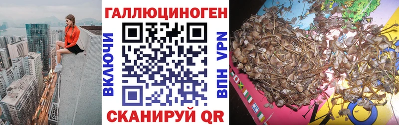Галлюциногенные грибы мицелий  Купить закладки  Белозерск 