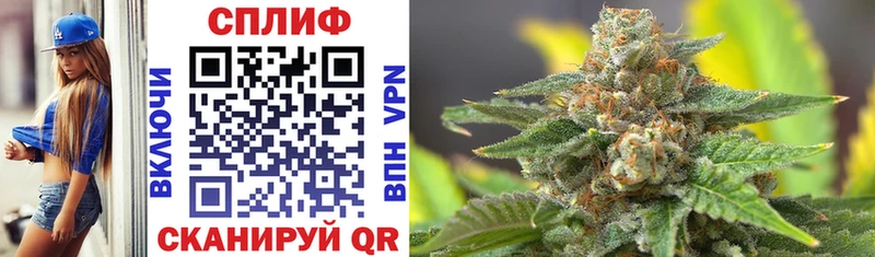 Купить где  Белозерск  Каннабис OG Kush 
